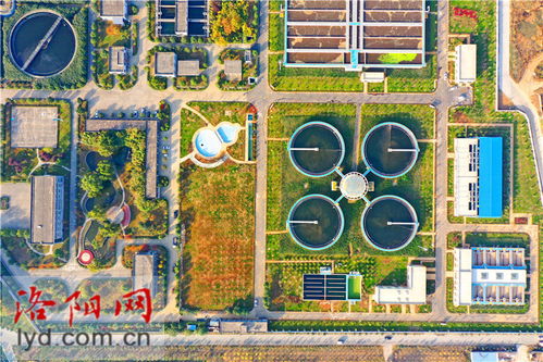 洛陽新區(qū)污水處理廠二期擴(kuò)建工程綠化完工